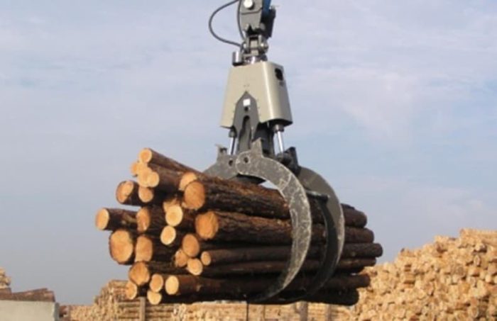 Logs for Biomass